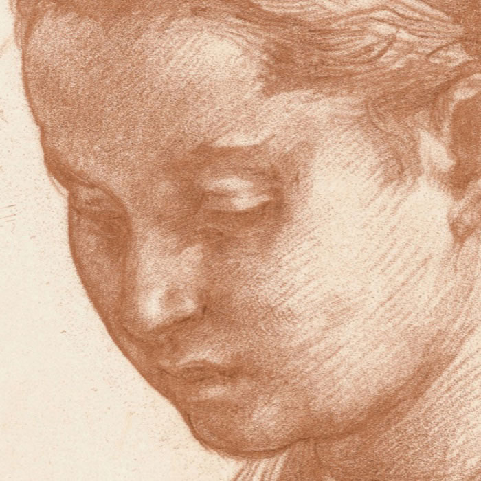 Portrait of Lucrezia del Fede, wife of Andrea del Sarto - Une estampe d’après Andrea del Sarto