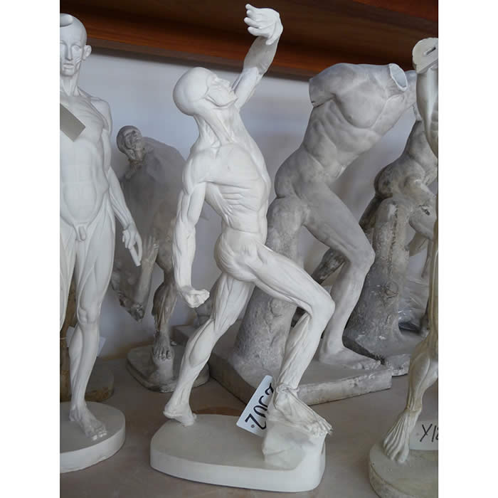 Écorché au tabouret ou le combattant - Reproduction d’une sculpture de l’École nationale supérieure des beaux-arts, Paris