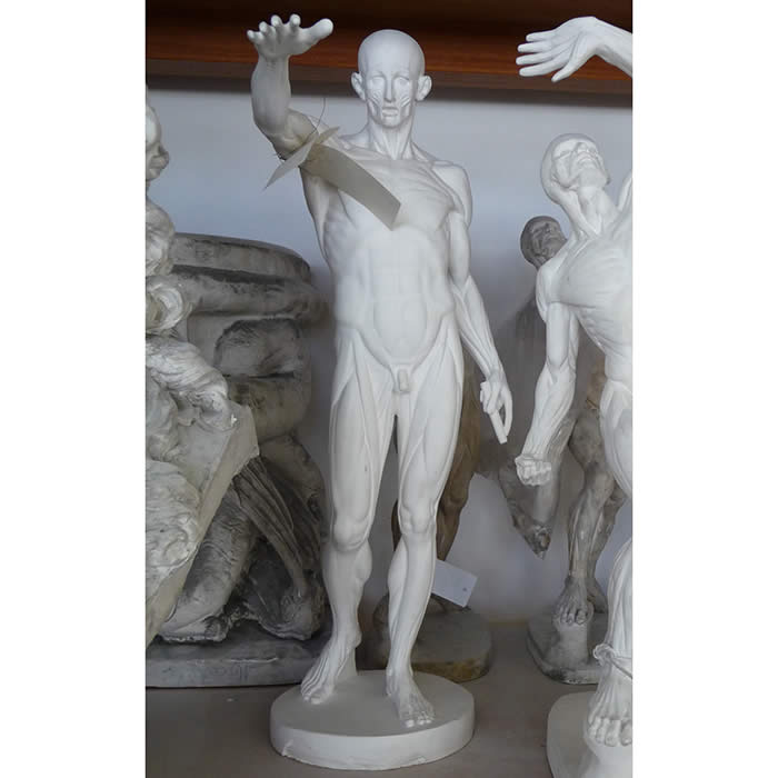 Study for the Flayed Man - Reproduction d’une sculpture de l’École nationale supérieure des beaux-arts, Paris